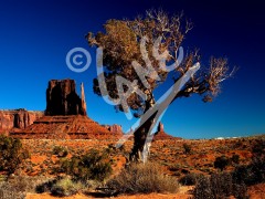 UTAH Monument Valley